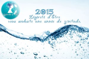 Vœux 2015