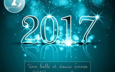 Bonne année 2017